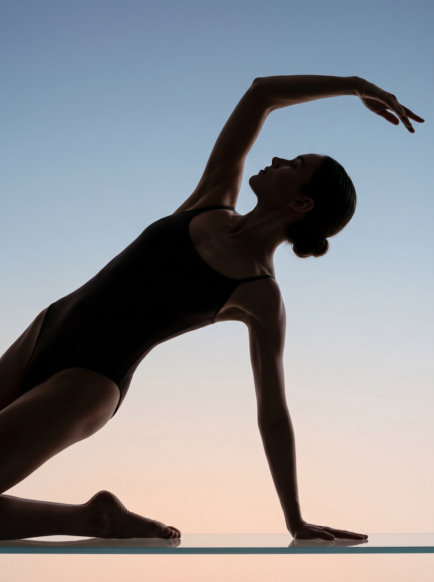 Elegant Pose Silhouette